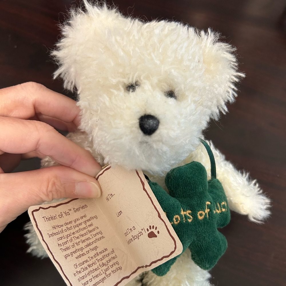 Boyd’s Bear Thinkin’ of Ya Series Liam 1988-2002